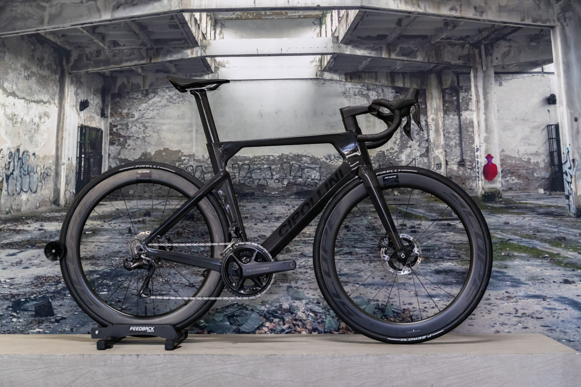 Cipollini ad.on e custom kleur mycipollini spectralflair shiney bergasports dealer