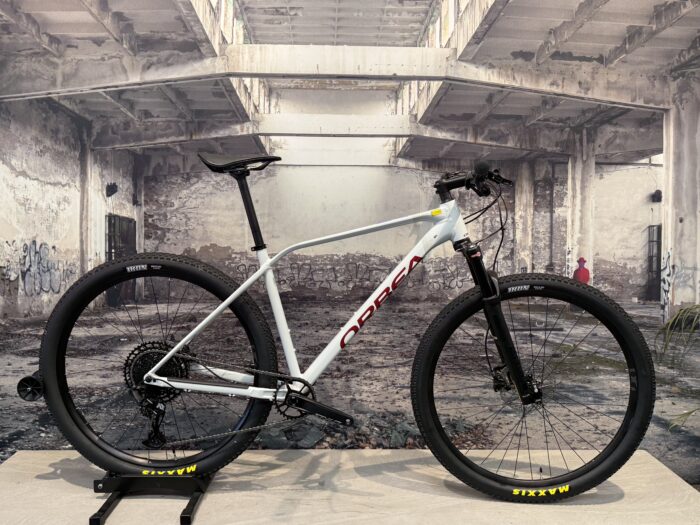 Orbea Alma h10 Bergasports
