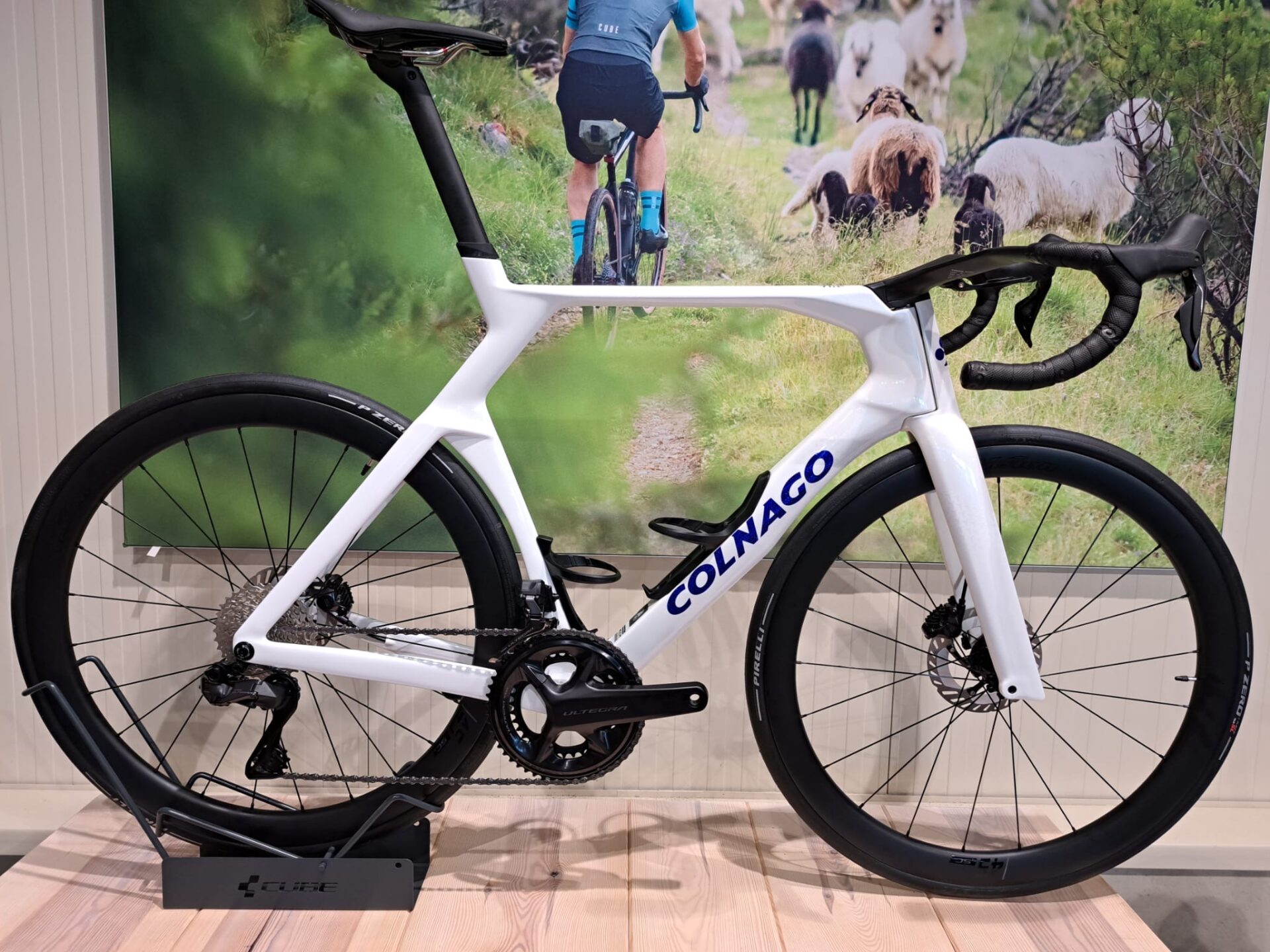 Colnago y1rs bergasports dedemsvaart large