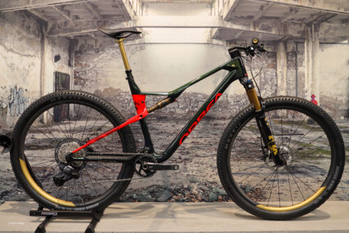 Custom Orbea MyO Oiz MTB 29er carbon fully Bergasports